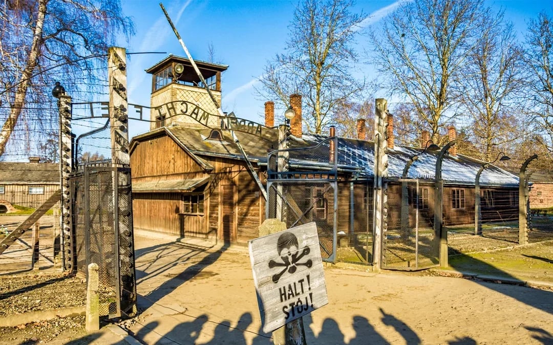 From Krakow: Auschwitz-Birkenau & Wieliczka Salt Mine Day Trip with Lunch & Transfers Image 3