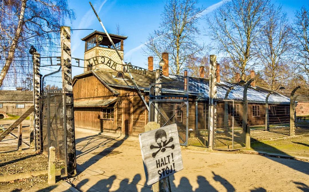 From Krakow: Auschwitz-Birkenau & Wieliczka Salt Mine Day Trip with Lunch & Transfers Image 3