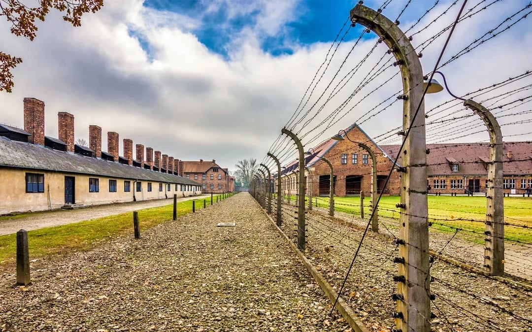 From Krakow: Auschwitz-Birkenau & Wieliczka Salt Mine Day Trip with Lunch & Transfers Image 7