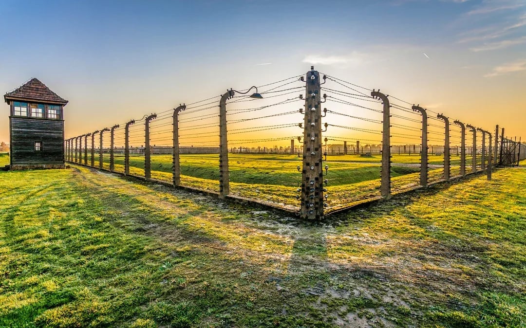 From Krakow: Auschwitz-Birkenau & Wieliczka Salt Mine Day Trip with Lunch & Transfers Image 8