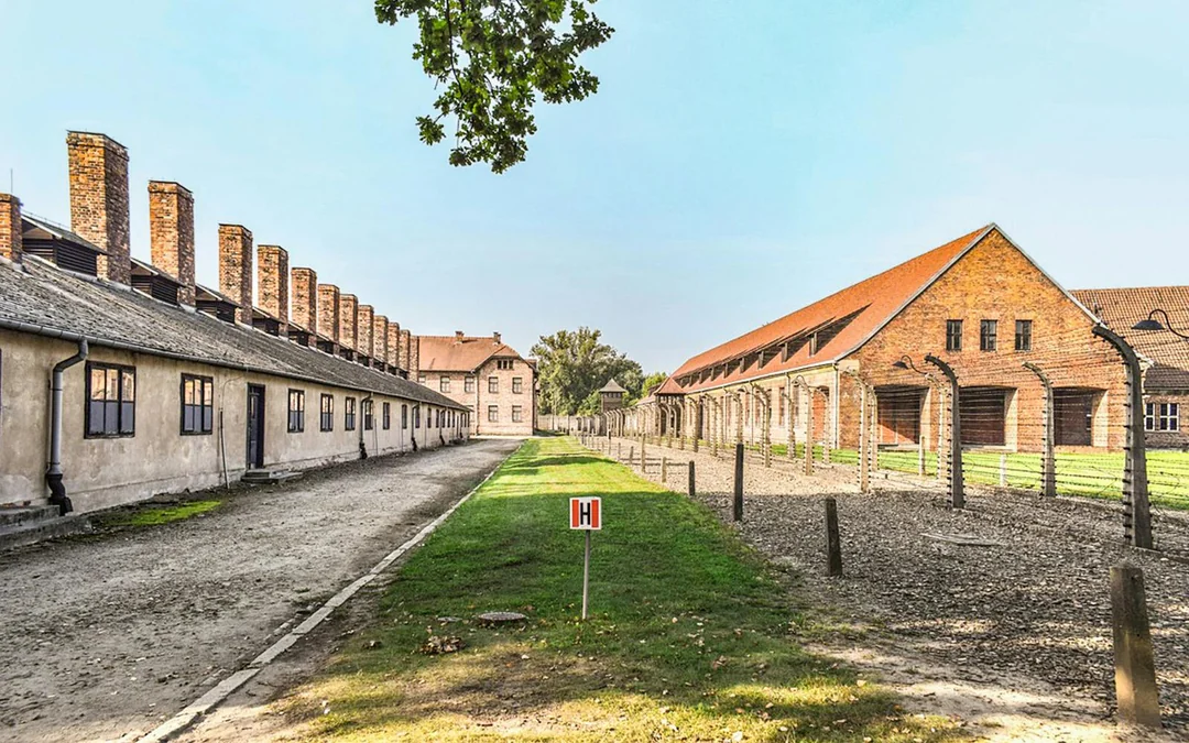 From Krakow: Auschwitz-Birkenau & Wieliczka Salt Mine Guided Tour
Image 3