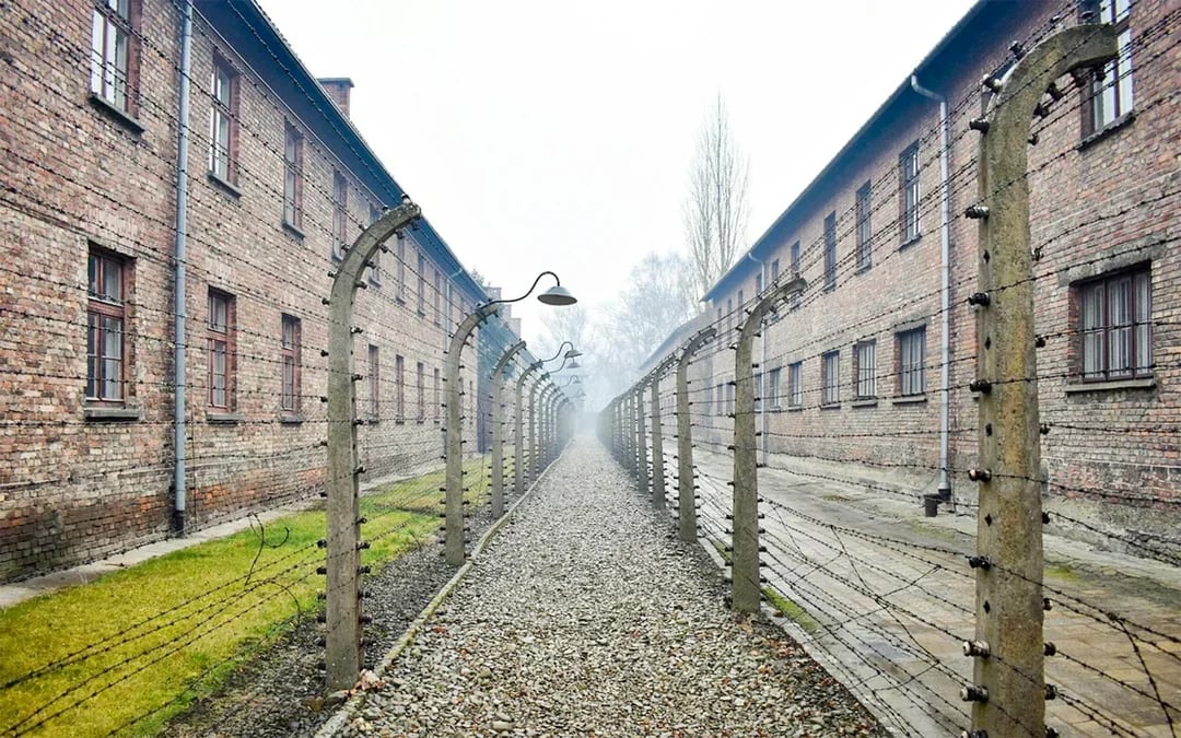  From Krakow: Auschwitz-Birkenau & Wieliczka Salt Mine Guided Tour
 Image 8