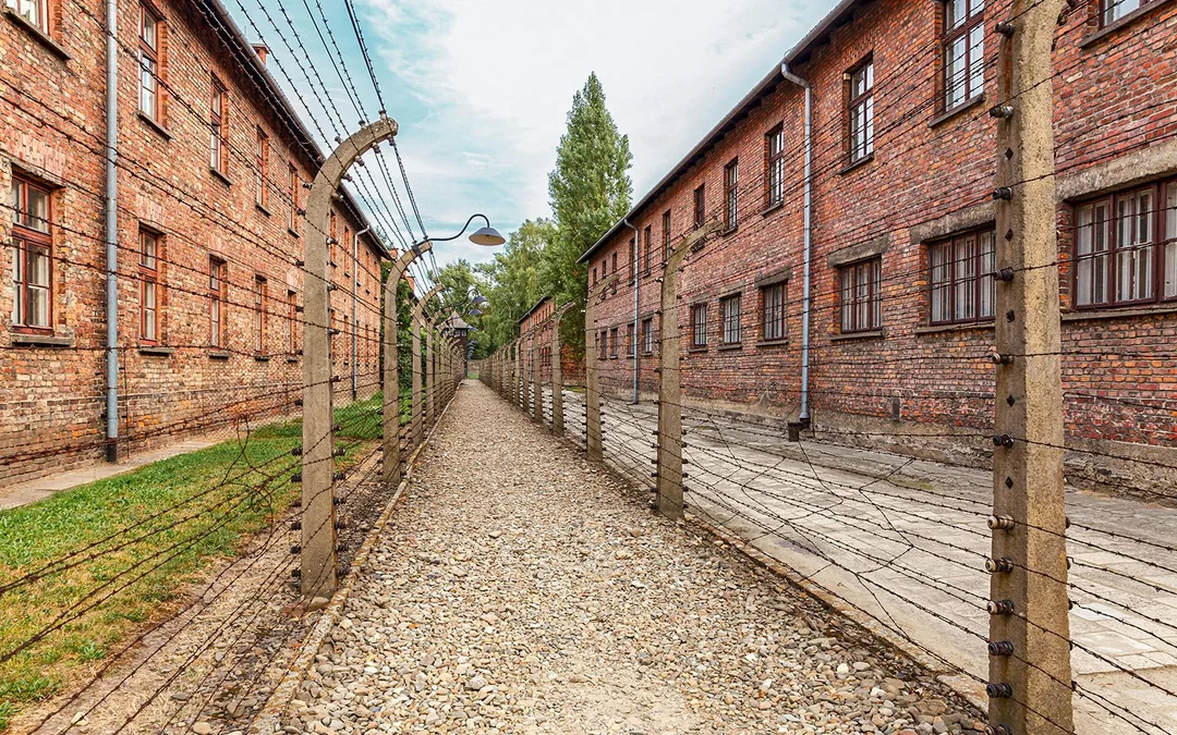 From Krakow: Auschwitz-Birkenau Guided Tour with Hotel Transfers Image 1