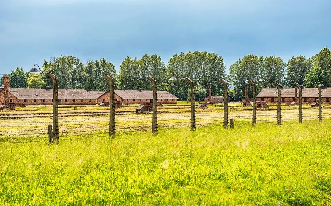 From Krakow: Auschwitz-Birkenau Guided Tour with Hotel Transfers Image 3