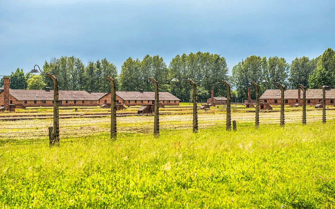 From Krakow: Auschwitz-Birkenau Guided Tour with Hotel Transfers Image 3
