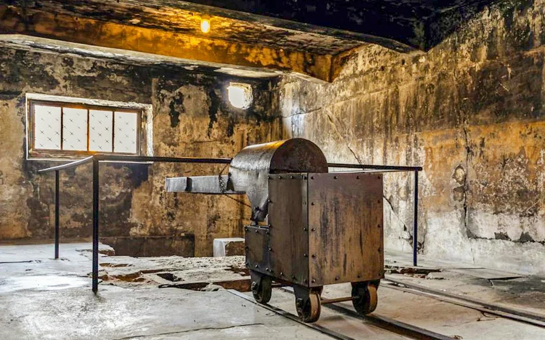 From Krakow: Auschwitz-Birkenau Guided Tour with Hotel Transfers Image 4