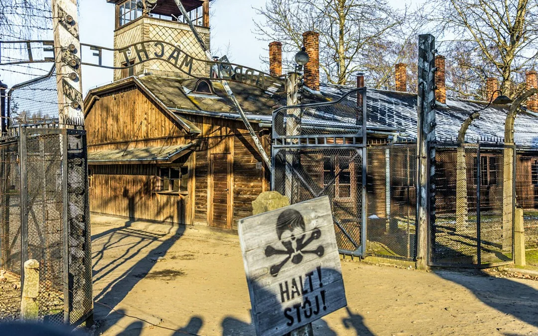 From Krakow: Auschwitz-Birkenau Guided Tour with Hotel Transfers Image 5