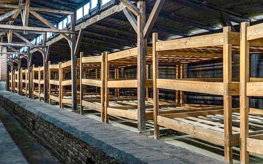 From Krakow: Auschwitz-Birkenau Guided Tour with Hotel Transfers Image 6