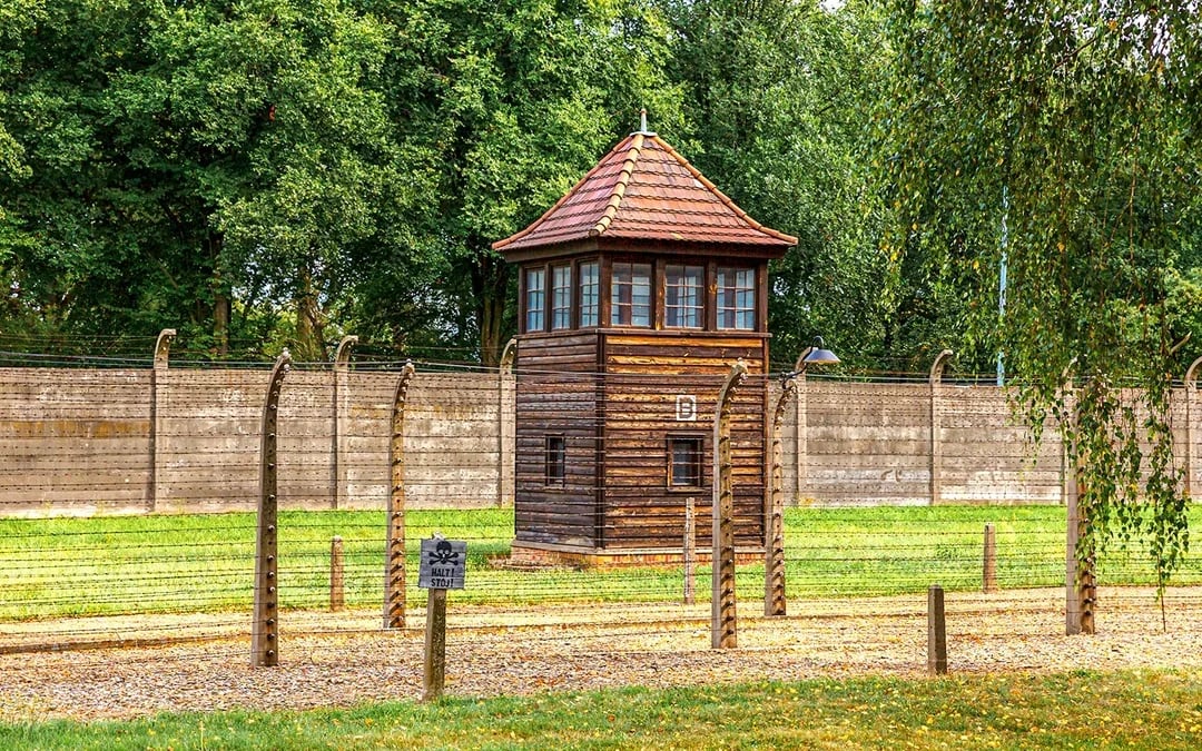 From Krakow: Auschwitz-Birkenau Guided Tour with Transfers Image 12