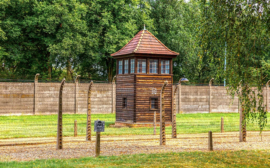 From Krakow: Auschwitz-Birkenau Guided Tour with Transfers Image 12