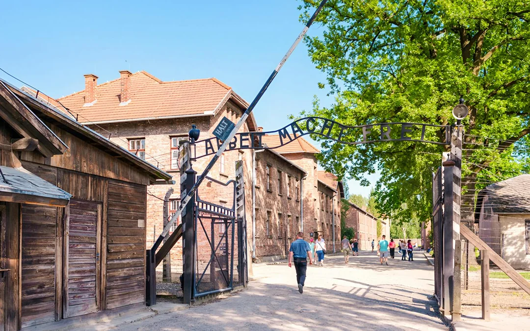 From Krakow: Auschwitz-Birkenau Guided Tour with Transfers Image 3