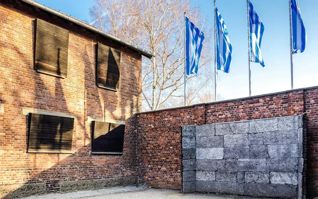 From Krakow: Auschwitz-Birkenau Guided Tour with Transfers Image 6