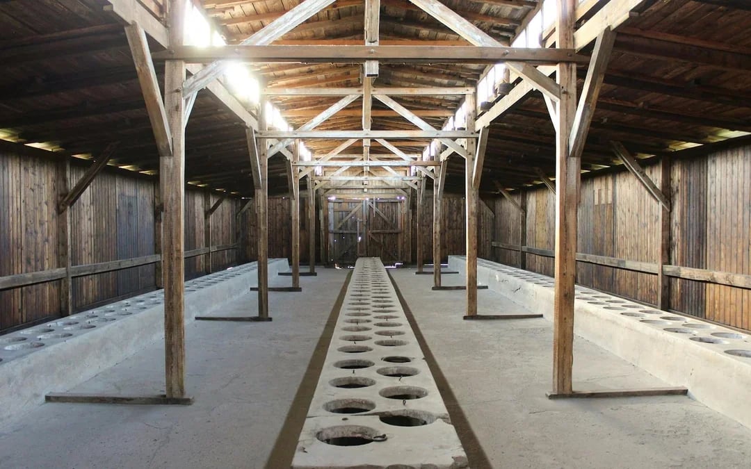 From Krakow: Auschwitz-Birkenau Guided Tour with Transfers Image 8