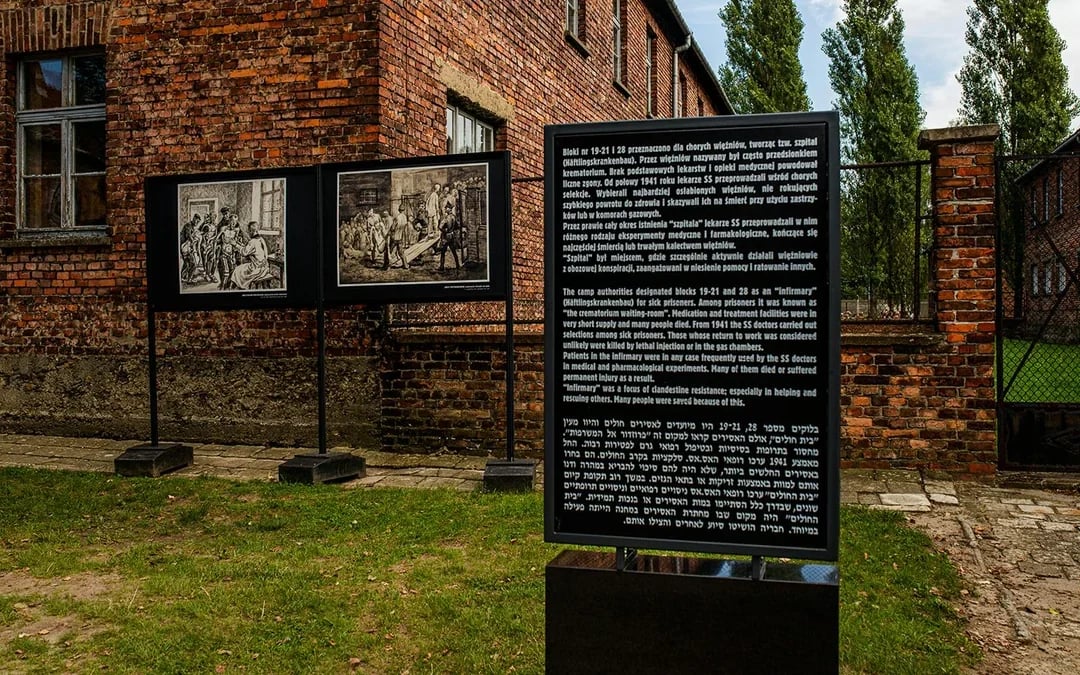 From Krakow: Auschwitz-Birkenau Guided Tour with Transfers Image 10
