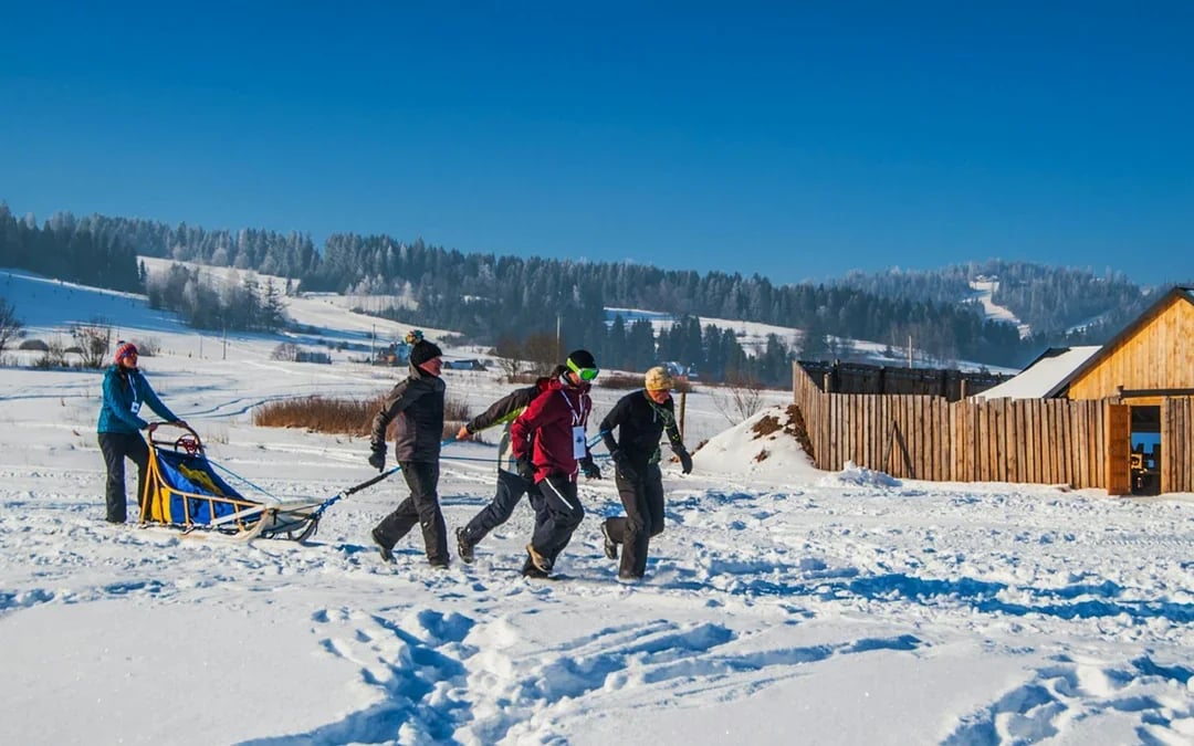 From Krakow: Tatra Mountains Dog Sledding Tour Image 11