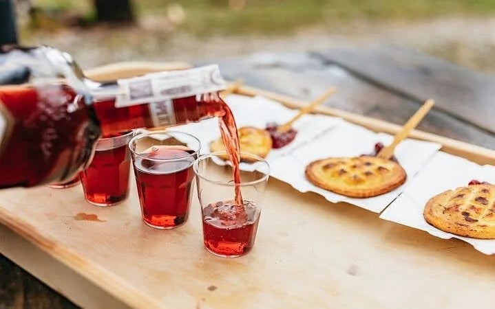 From Krakow: Tatra Mountains Guided Snowmobile Tour with Cheese Tasting and Chocholow Thermal Pools Transfers Image 8