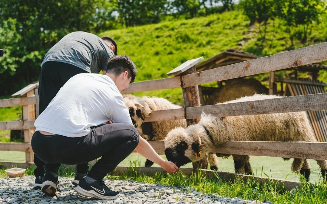 From Krakow: Zakopane Day Trip with Cheese and Vodka Tasting Image 6