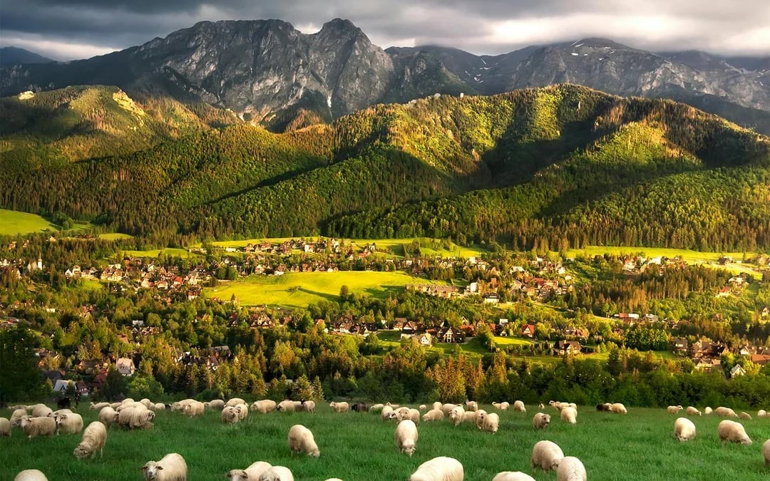 From Krakow: Zakopane Tour with Chocholow Thermal Baths Entry & Hotel Transfers Image 10