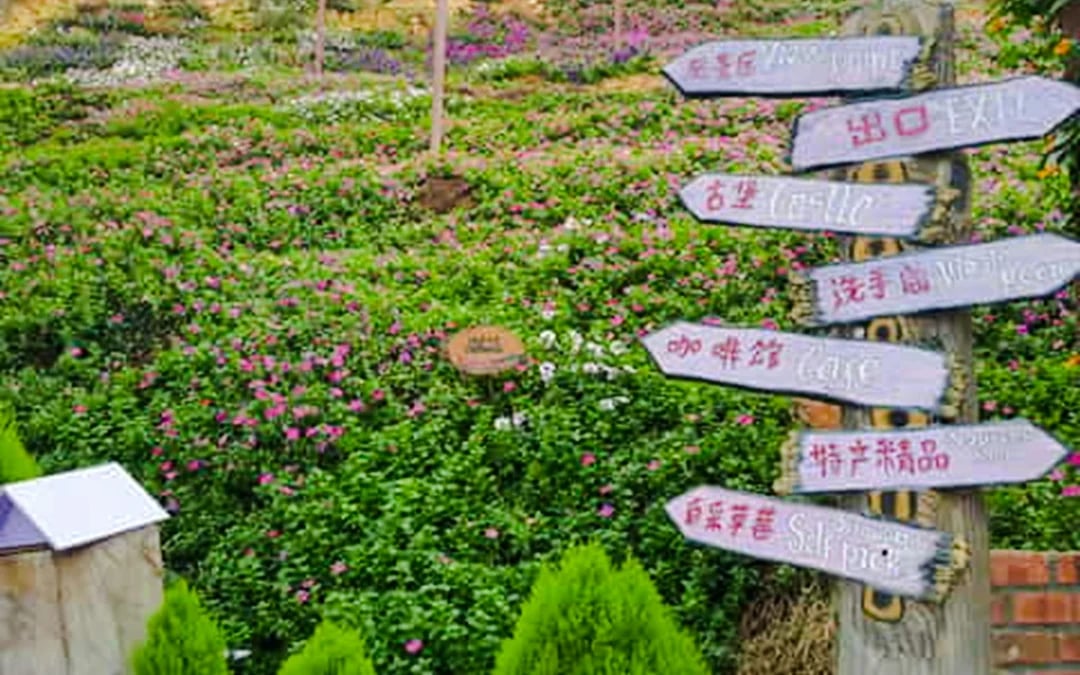 From Kuala Lumpur: Private Cameron Highlands Tour Image 4
