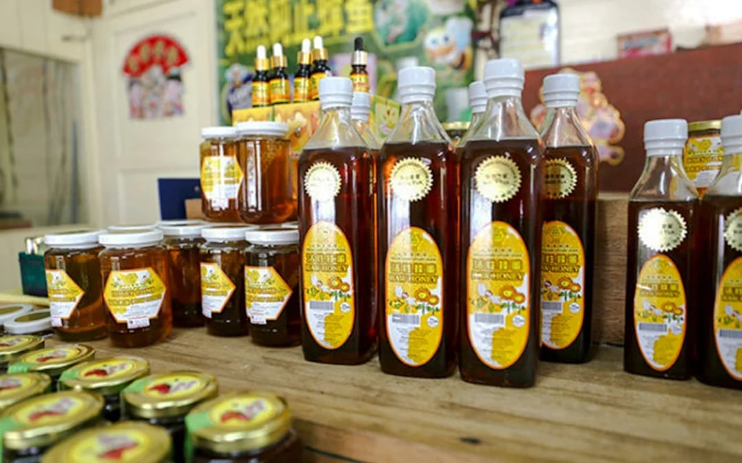 From Kuala Lumpur: Private Cameron Highlands Tour Image 5