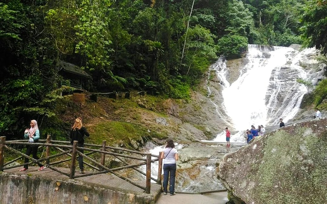 From Kuala Lumpur: Private Cameron Highlands Tour Image 10