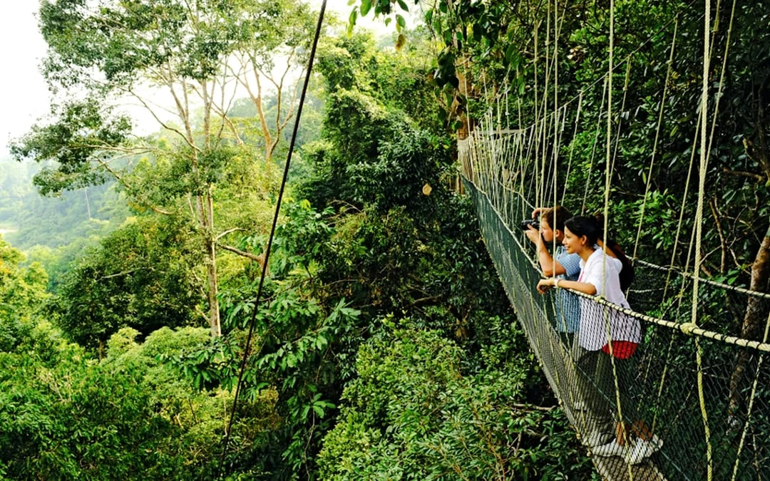 From Kuala Lumpur: Taman Negara National Park Private Day Trip With Canopy Walkway Image 1