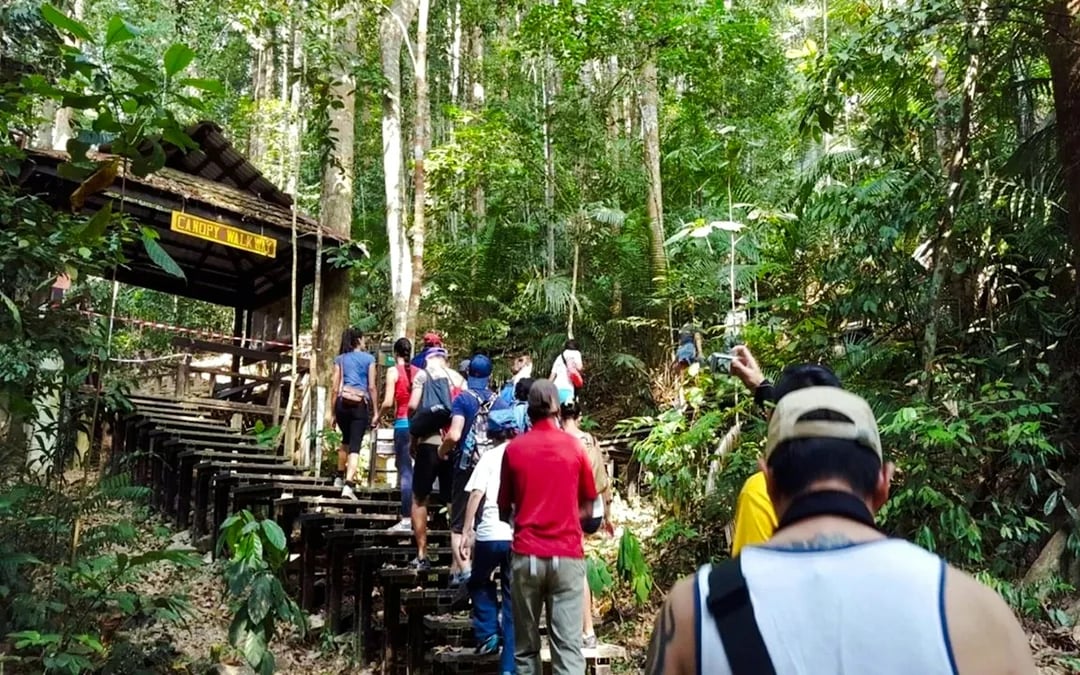 From Kuala Lumpur: Taman Negara National Park Private Day Trip With Canopy Walkway Image 7