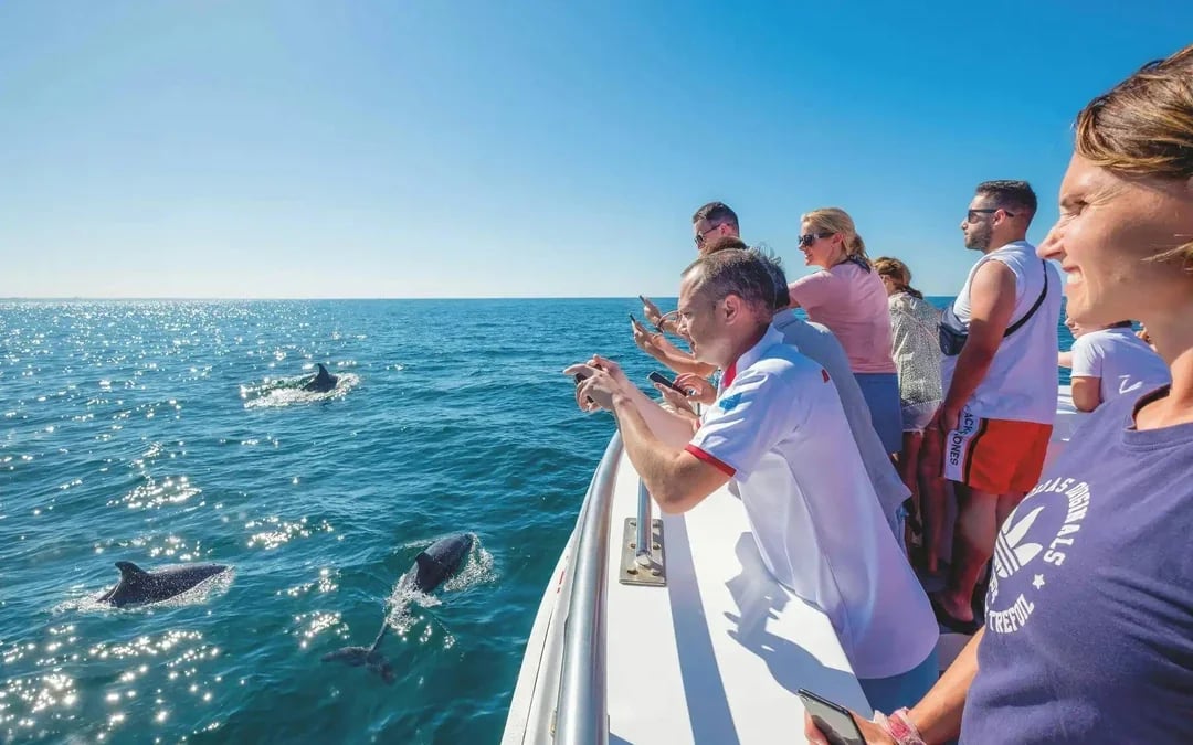 From Lagos: Benagil Caves & Dolphin Watching Catamaran Cruise Image 2