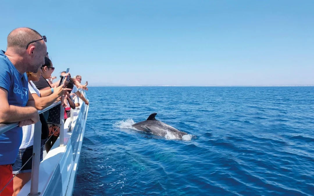 From Lagos: Benagil Caves & Dolphin Watching Catamaran Cruise Image 6