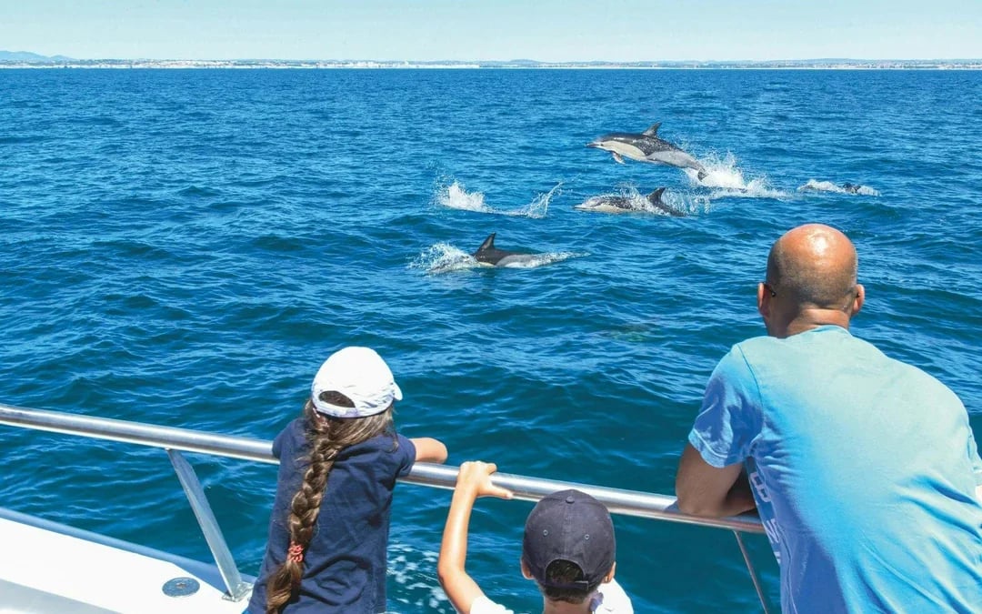 From Lagos: Benagil Caves & Dolphin Watching Catamaran Cruise Image 7