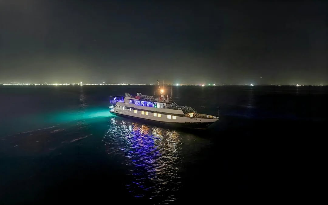 From Larnaca: Disco Sunset Cruise Image 2