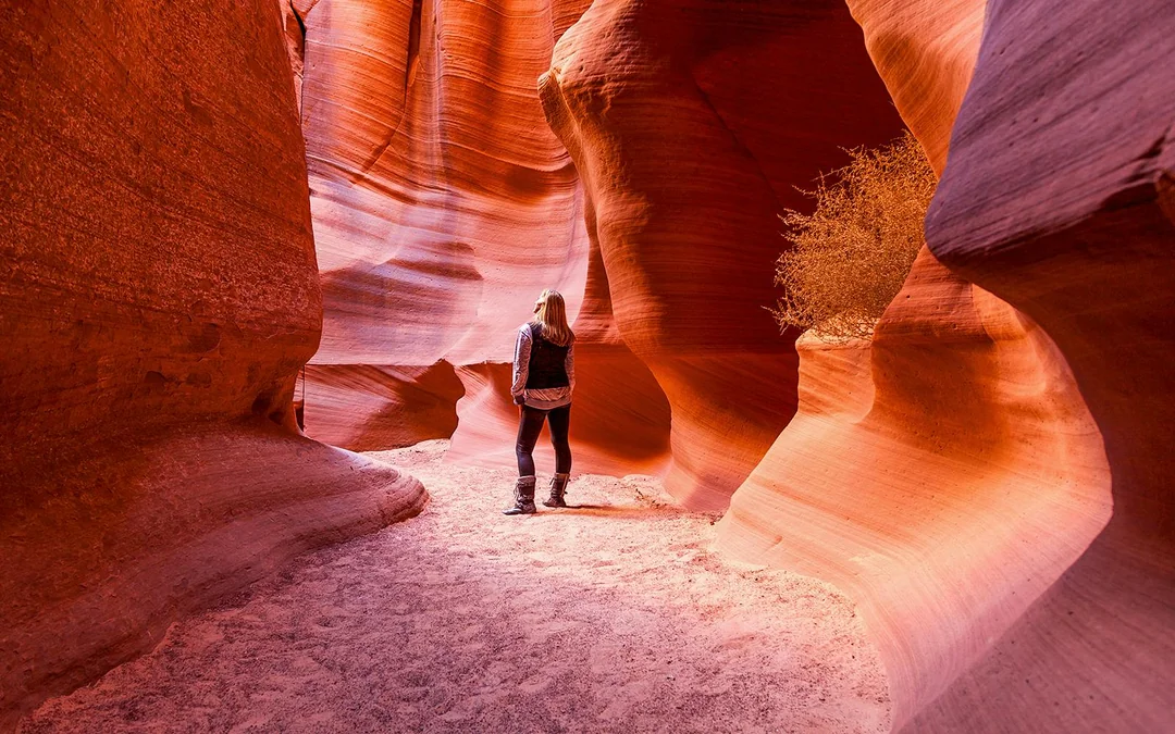 From Las Vegas: Upper Antelope Canyon & Horseshoe Bend Tour with Lunch Image 4