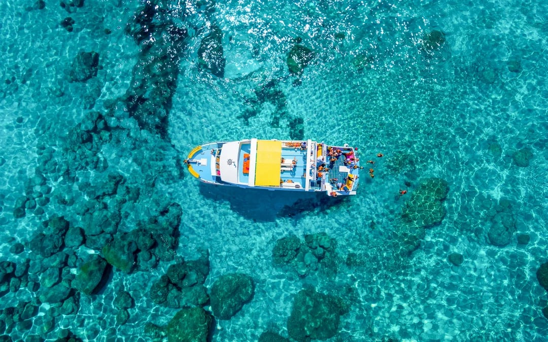 From Latchi: Blue Lagoon Cruise on Mediteranean One Image 8
