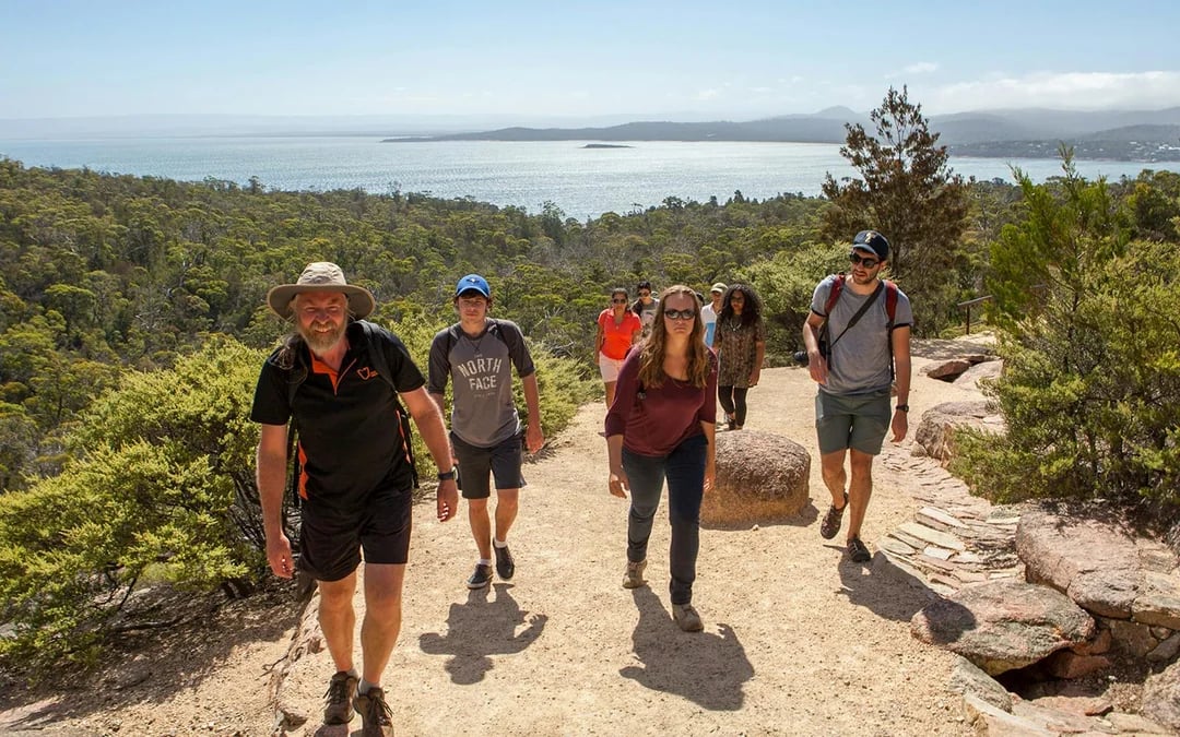 From Launceston: Day Tour to Hobart via Wineglass Bay Image 3