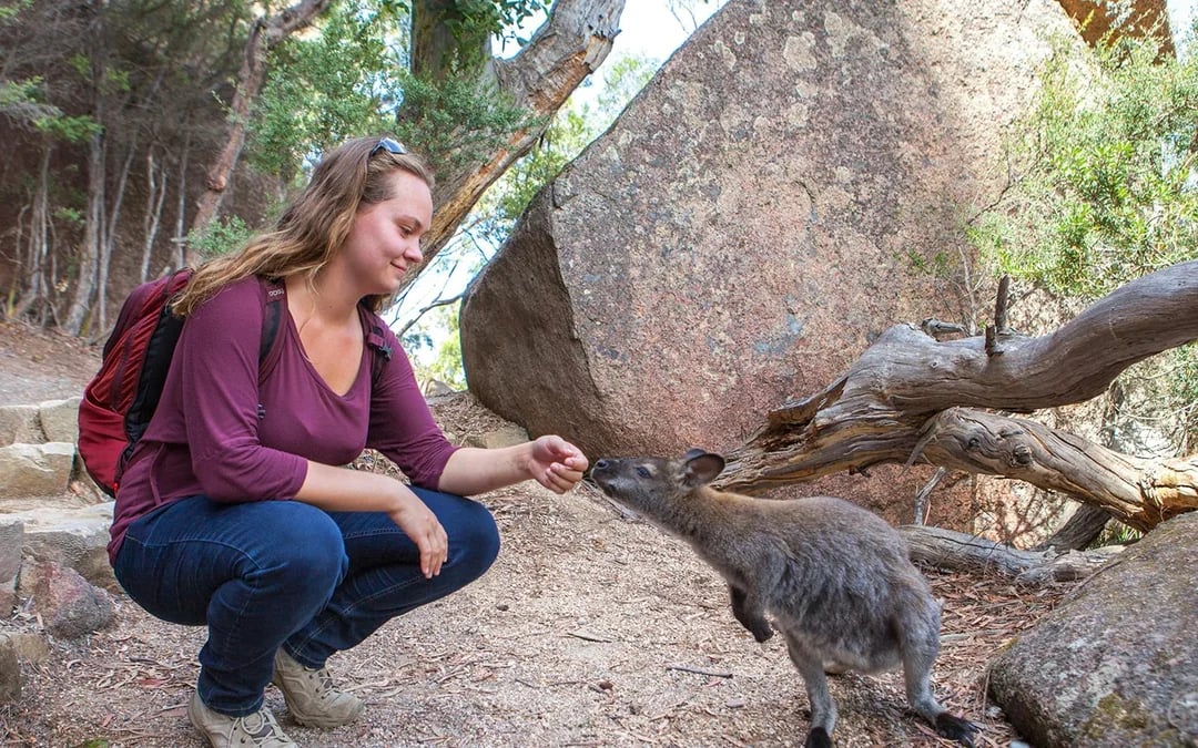From Launceston: Day Tour to Hobart via Wineglass Bay Image 4