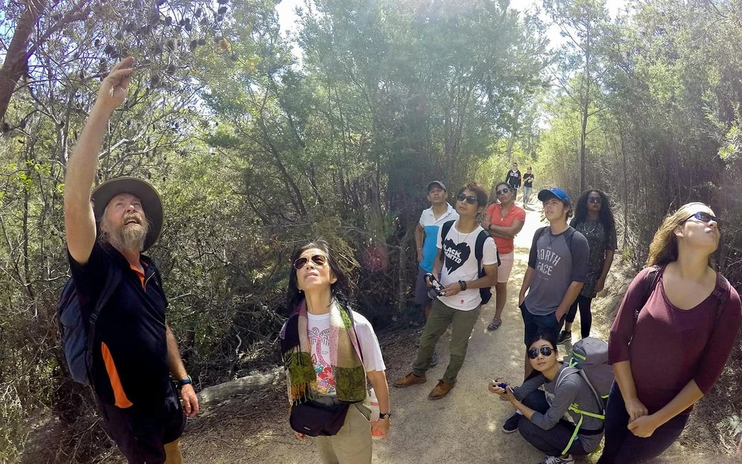 From Launceston: Guided Walking Tour of Wineglass Bay Image 2