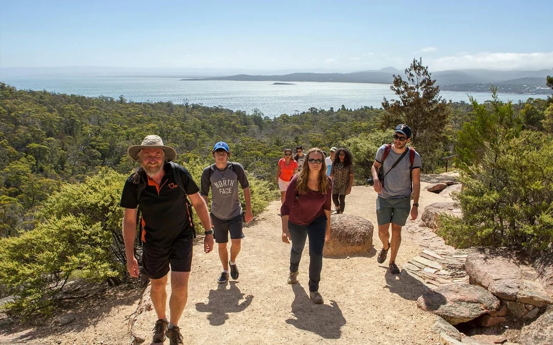 From Launceston: Guided Walking Tour of Wineglass Bay Image 4