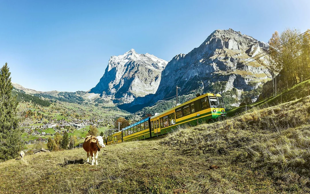 From Lauterbrunnen: Jungfraujoch Top of Europe Round-Trip Train Tickets Image 3