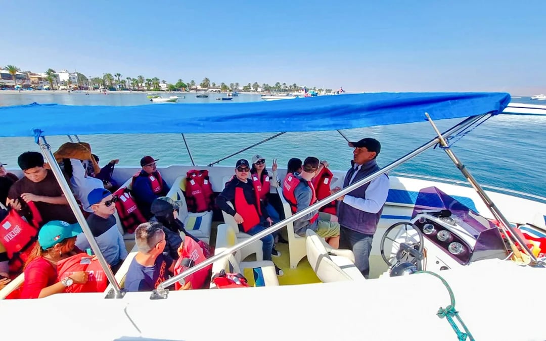 From Lima: Ballestas Islands Boat & Huacachina Oasis Tour with Dune Buggy and Sandboarding Image 5