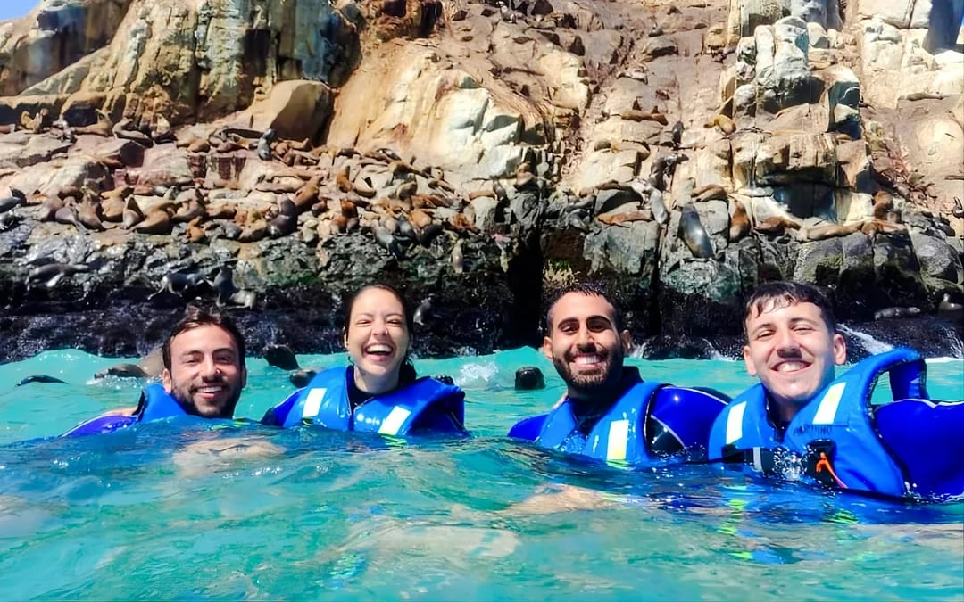 From Lima: Palomino Islands Cruise with Sea Lion Swim Image 1