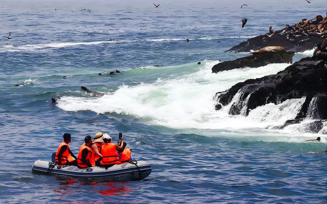 From Lima: Palomino Islands Cruise with Sea Lion Swim Image 3