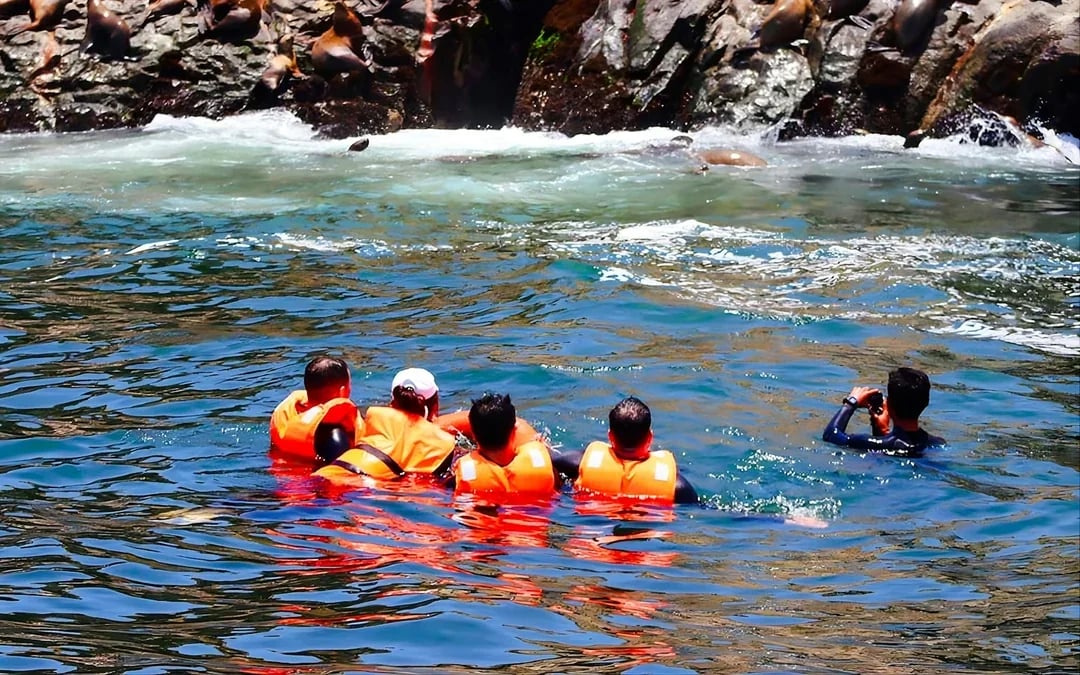 From Lima: Palomino Islands Cruise with Sea Lion Swim Image 4