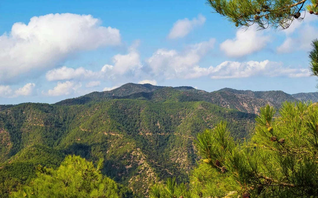From Limassol: Private Troodos, Kykkos Monastery & Aphrodite's Birthplace Tour Image 1
