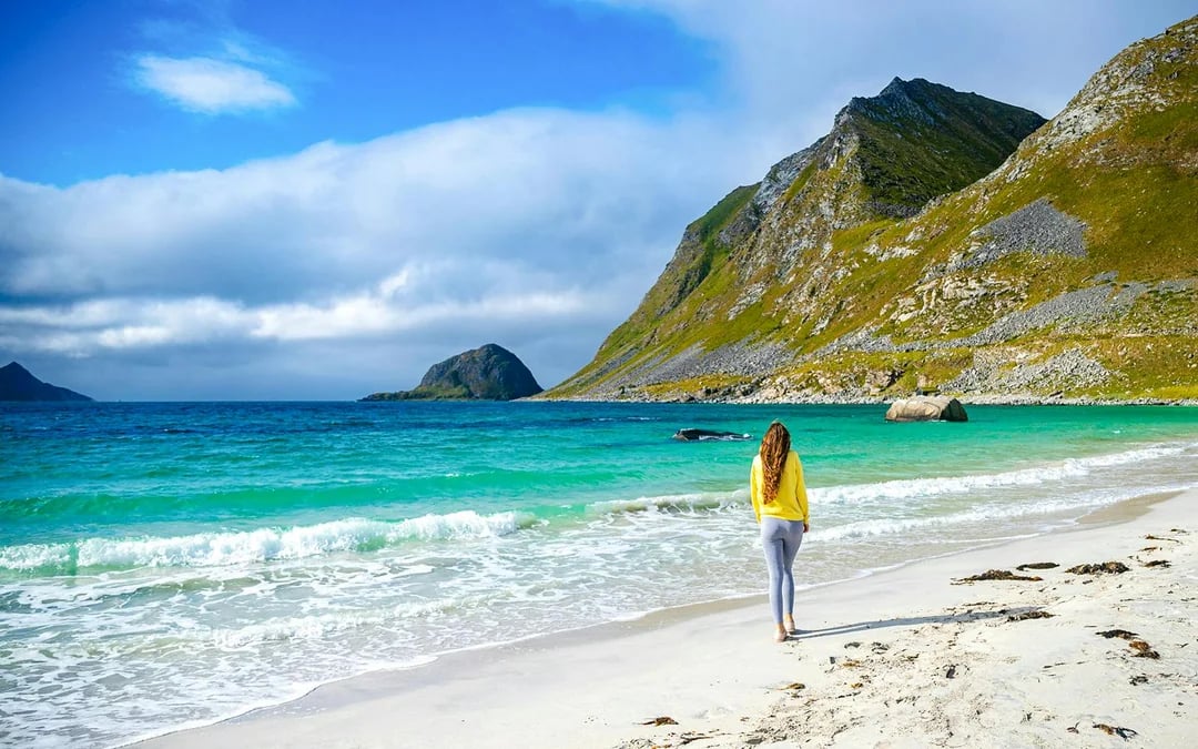 From Lofoten: Fishing Villages & Beaches Guided Day Trip Image 3