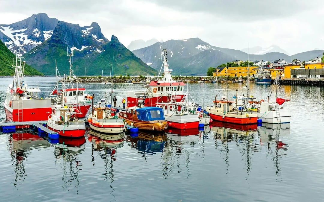 From Lofoten: Fishing Villages & Beaches Guided Day Trip Image 5
