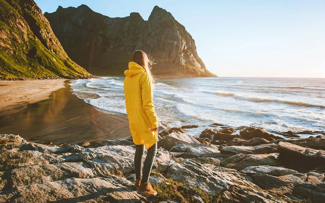 From Lofoten: Fishing Villages & Beaches Guided Day Trip Image 6