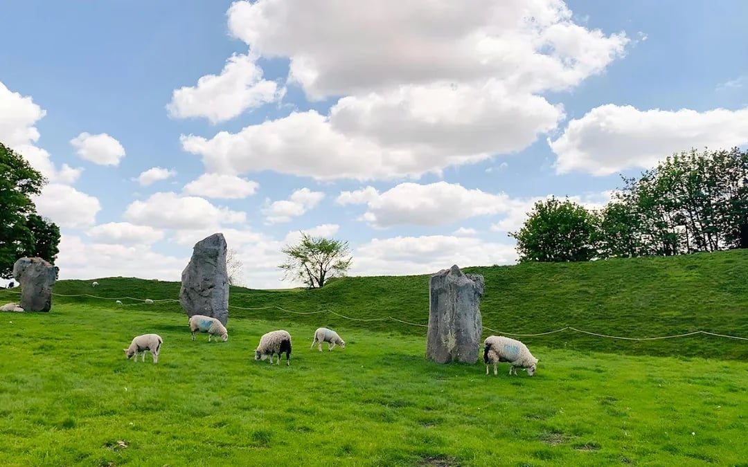 From London: Full-Day Guided Small-Group Tour of Stonehenge & Avebury Image 8