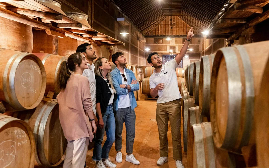 From Madrid: Toledo Day Trip with Vineyard Experience Image 2