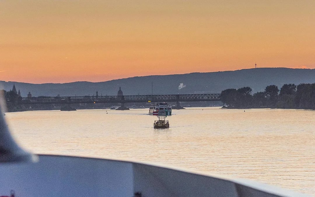 From Mainz: Rhine River Afternoon Advent Cruise Image 6