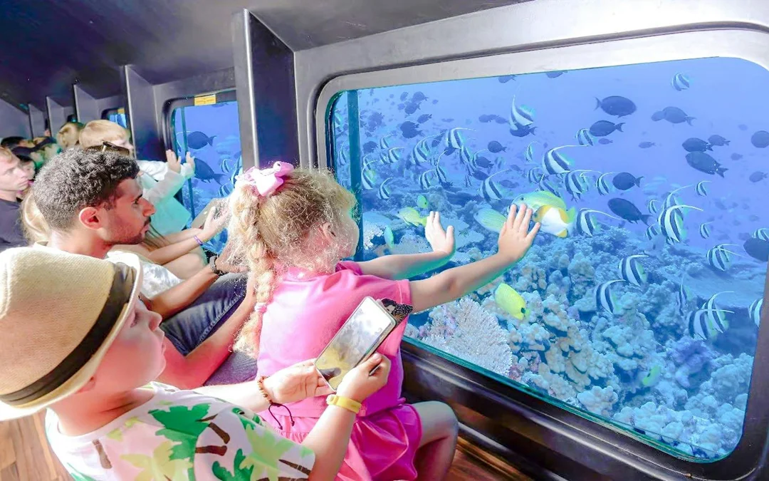 From Makadi: Royal Seascope Submarine Cruise with Snorkel Stop & Optional Hotel Transfers Image 5